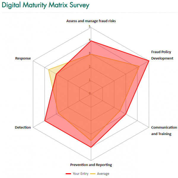 Maturity Matrix Example of results